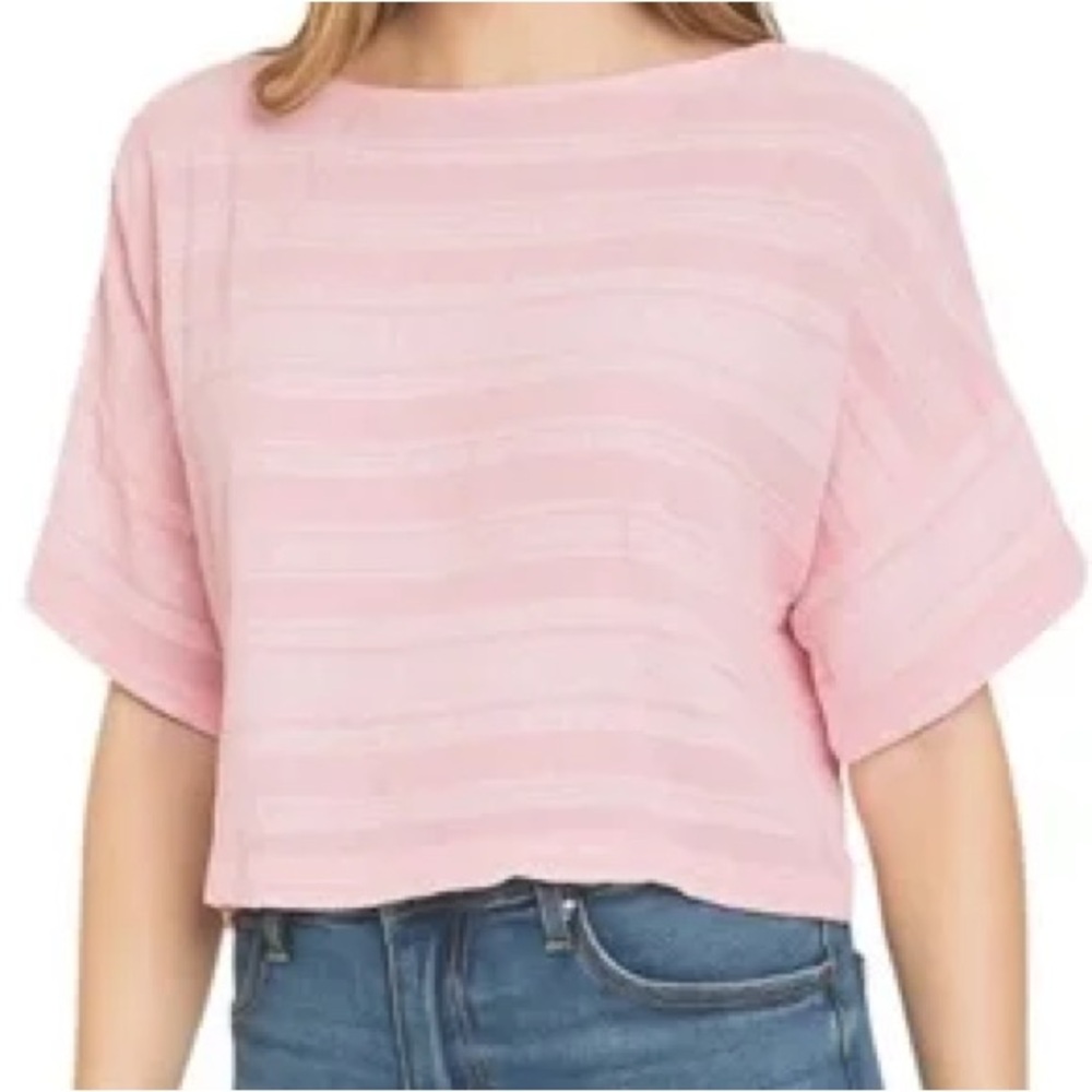 Wilfred Aritzia Pink Boxy Embroidered Striped Crop Top Medium